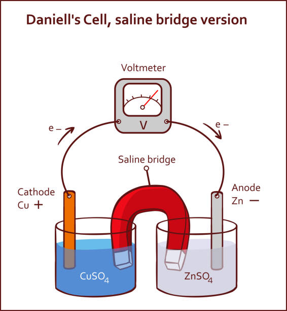 ilustrações de stock, clip art, desenhos animados e ícones de daniell's cell, saline bridge version vector illustration - energia reativa