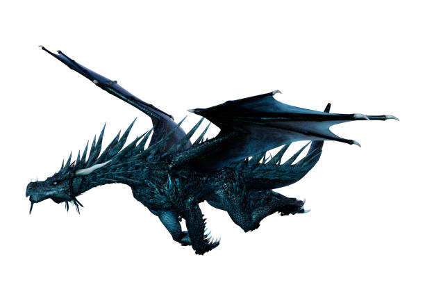 istock 3D illustration black fantasy dragon on white 1095396426
