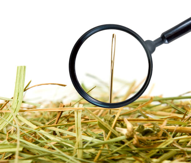 istock magnifying glass, needle and stack of snow 1095408928