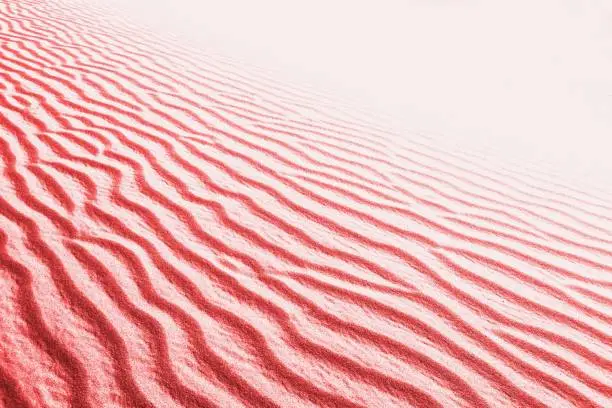 Photo of Coral color - living coral - color of year 2019 - Abstract organic texture, sand waves