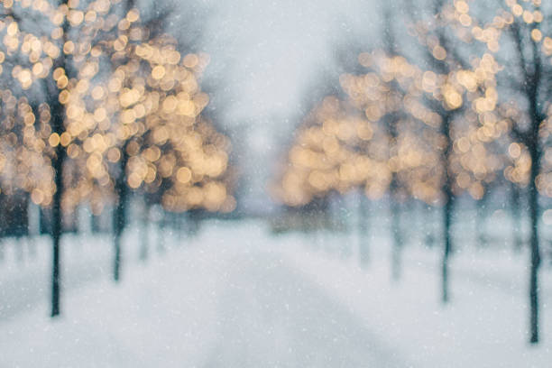 blurred winter tree alley with falling snow and shining christmas lights bokeh. - snow winter bench park imagens e fotografias de stock