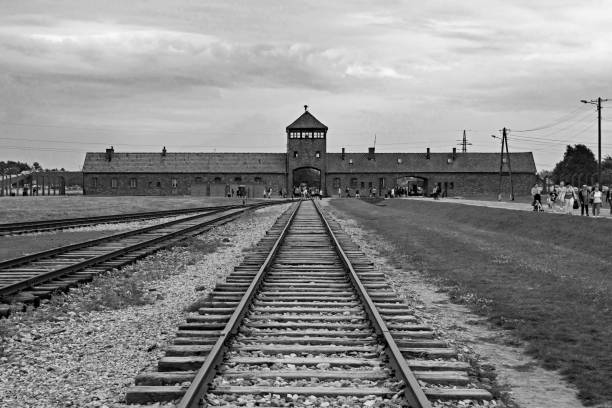 birkenau wachturm tor - prison architecture black white stock-fotos und bilder