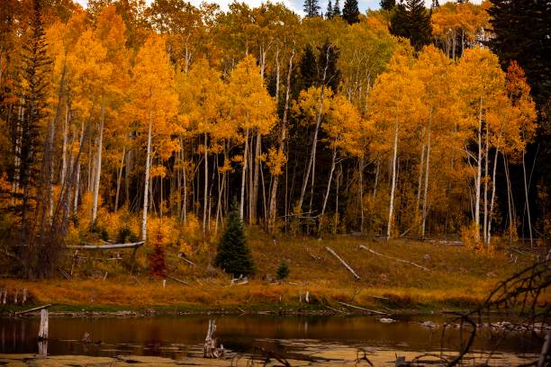 istock Autumn Mountain Backcountry Lake 1095415490