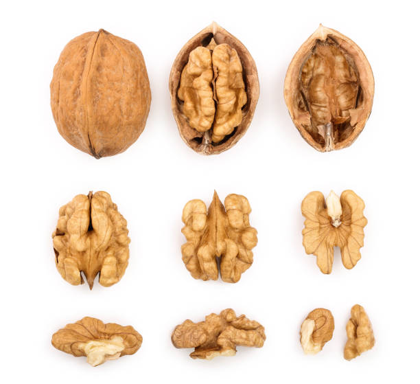 istock Walnuts isolated on white background. Top view. Flat lay. Set or collection 1095419350