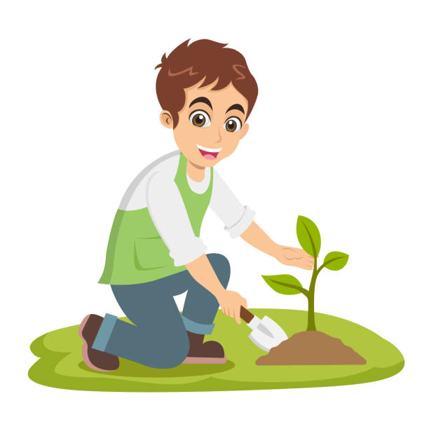 Cute Cartoon Little Boy Plant A Tree Isolated On White Background Stock  Illustration - Download Image Now - iStock