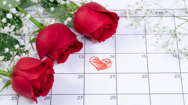 istock Valentines day. Red rose on Calendar page February 14 with copy space 1095422850