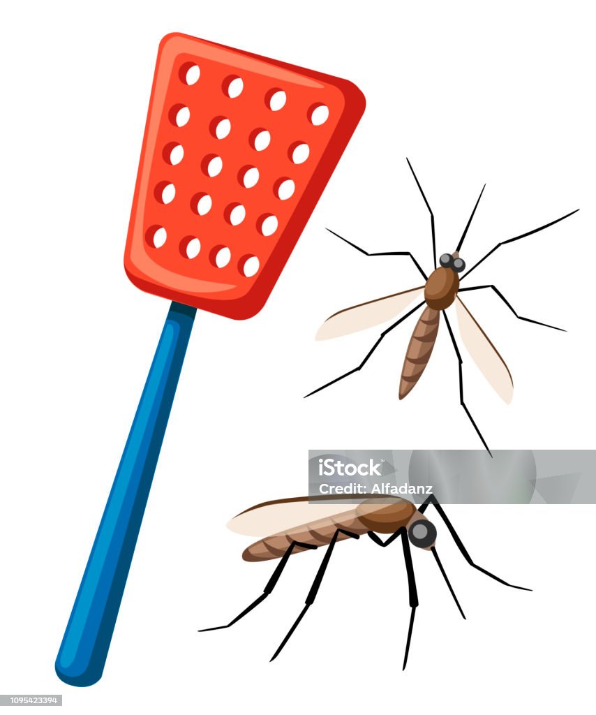 Fly swatter with mosquitos. Tool for destruction of insects at home. Red swatter with blue handle. Flat vector illustration isolated on white background Fly swatter with mosquitos. Tool for destruction of insects at home. Red swatter with blue handle. Flat vector illustration isolated on white background. Mosquito stock vector