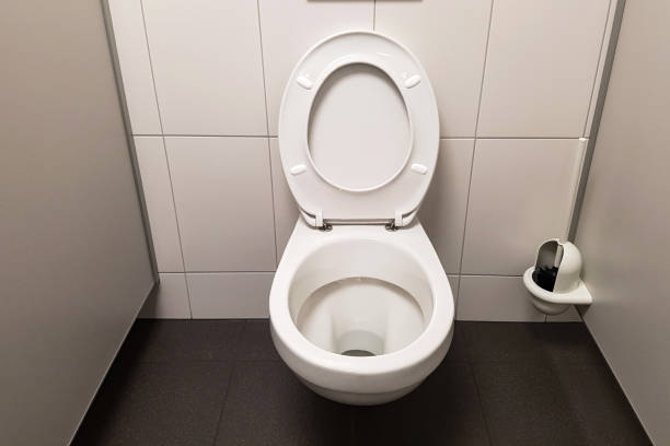 a toilet with disabilities