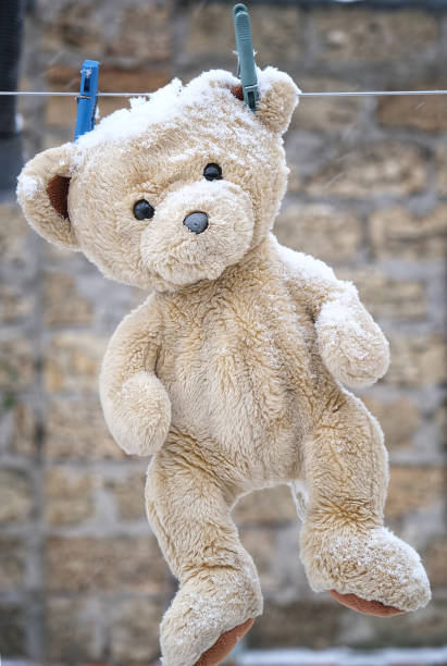 istock old teddy bear hanging on a clothesline 1095429004