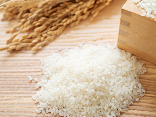 istock Japanese Rice and Ear of rice 1095433078