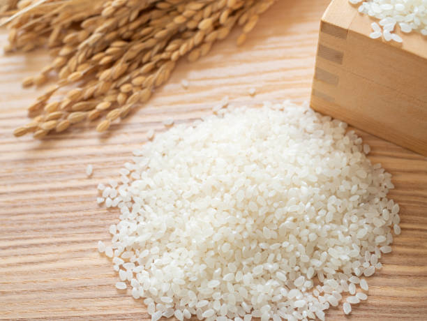istock Japanese Rice and Ear of rice 1095433082