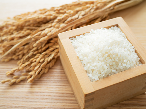 Arroz japonés y oído del arroz photo