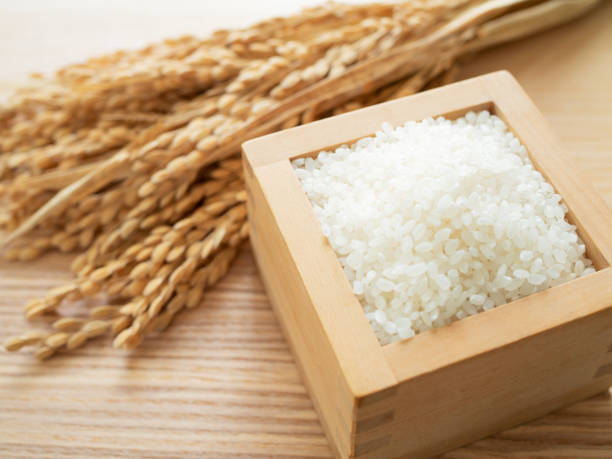 japanese rice and ear of rice - arroz imagens e fotografias de stock