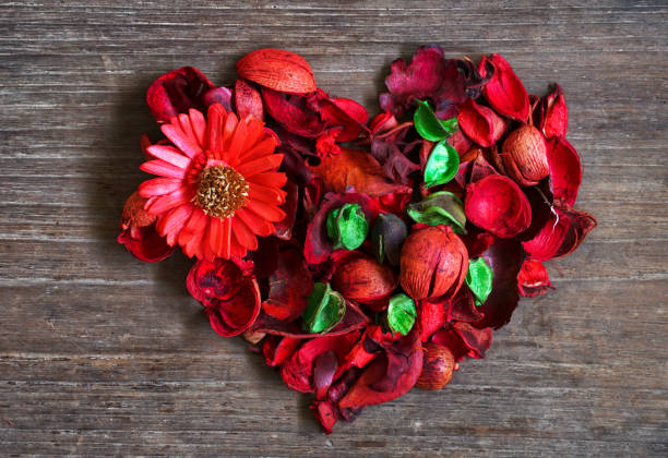 istock Heart shape make from red dry flowers on wood background 1095447858
