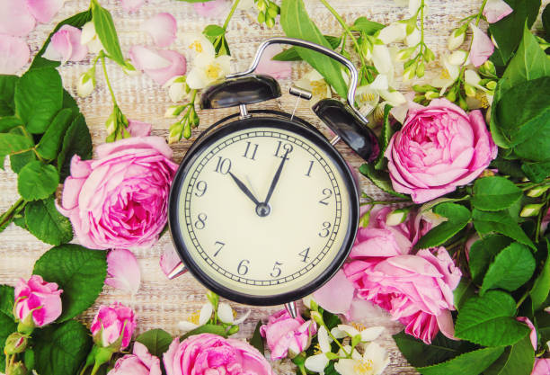 istock Alarm clock 10 hours. Flowers. Selective focus. 1095457978