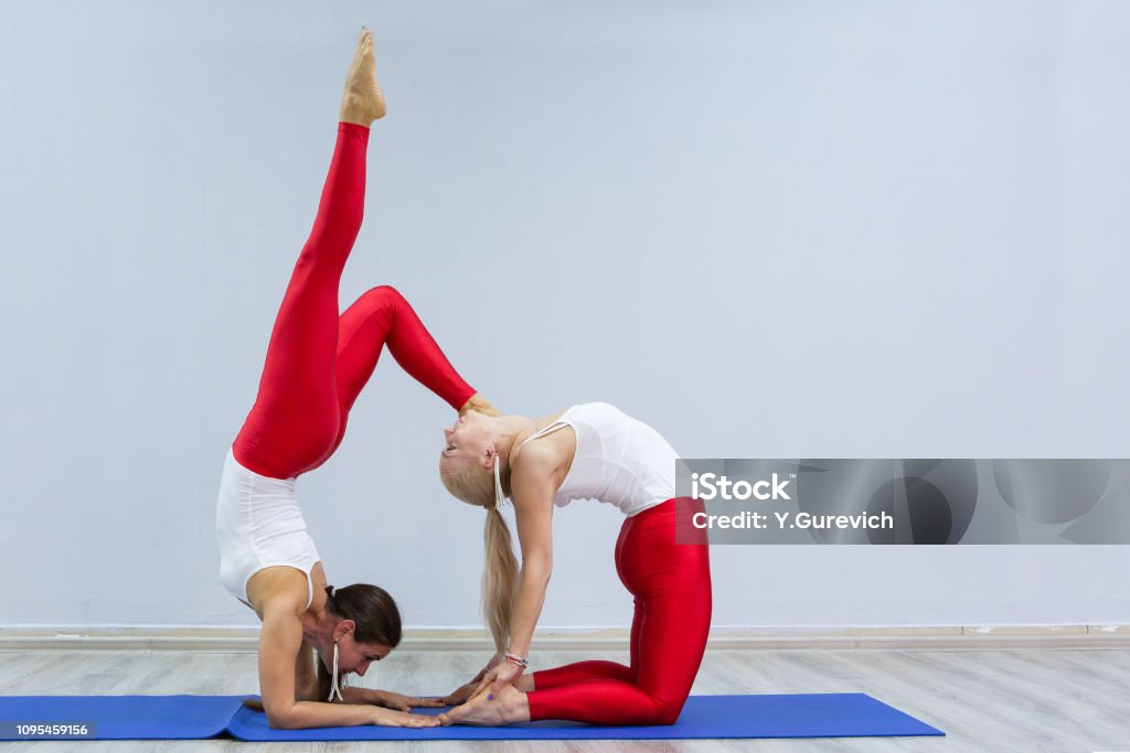Phụ Nữ Trẻ Đẹp Tập Yoga Nhóm Người Tập Yoga Trong Phòng Tập Gym Hình Ảnh  Sẵn Có - Tải Xuống Hình Ảnh Ngay Bây Giờ - Istock