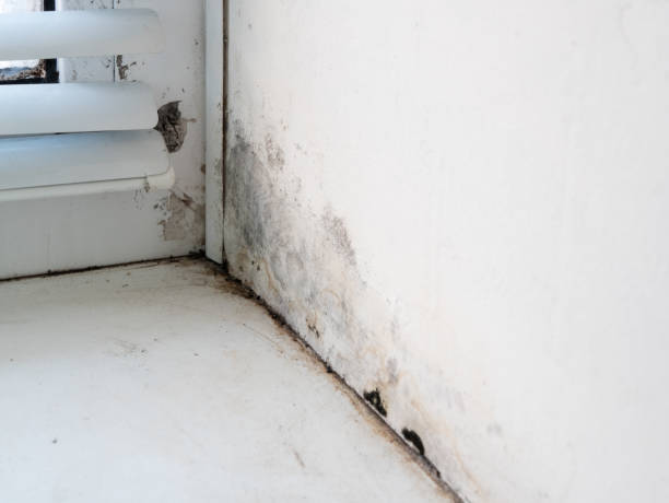 istock slight stains of moisture on window wall frame 1095465296