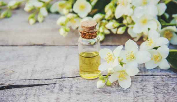 istock Jasmine essential oil. selective focus. madicine and nature. 1095468580