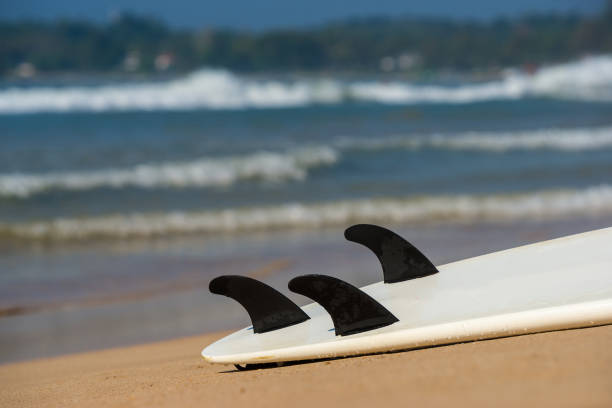 istock surfboards lays on the tropical beach 1095468746