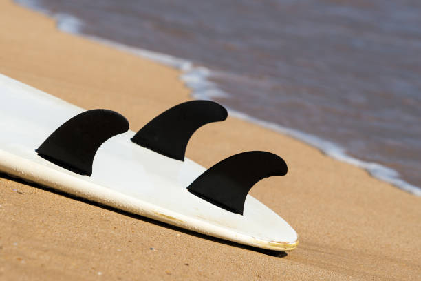 istock surfboards lays on the tropical beach 1095468764