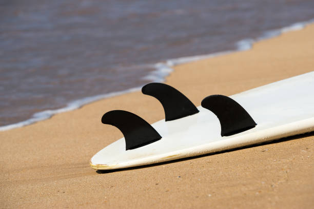 istock surfboards lays on the tropical beach 1095468780