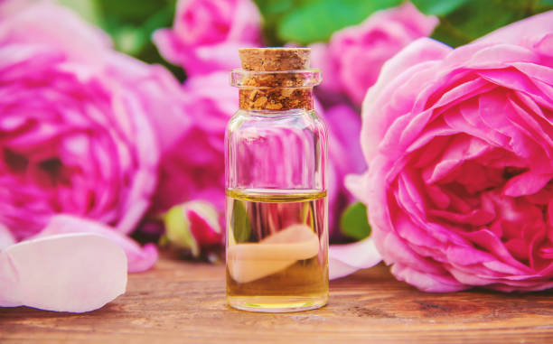 istock Essential oil of rose on a light background. Selective focus. 1095470026