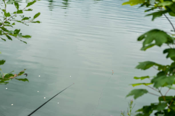 Float (cork) for fishing on water, in Danube Delta area,  Romania