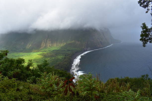 waimea valley hawaii dan brumosa vista de costa. nubosidad pesada de valle fértil paraíso utópico desde la parte superior de la montaña con montañas en la distancia. fértil valle de utópico encuentro de reyes - hawaii islands big island waterfall nobody fotografías e imágenes de stock