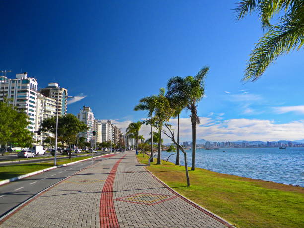 Florianópolis landscape Beautiful  landscape in the north bay in Florianópolis. With its buildings, mangrove and sea in the background. Photo taken on 07/20/2012 in Florianópolis, Santa Catarina, Brazil. florianópolis stock pictures, royalty-free photos & images
