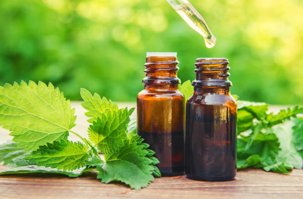 istock nettle essence oil and fresh branches blooming nettle. 1095478444