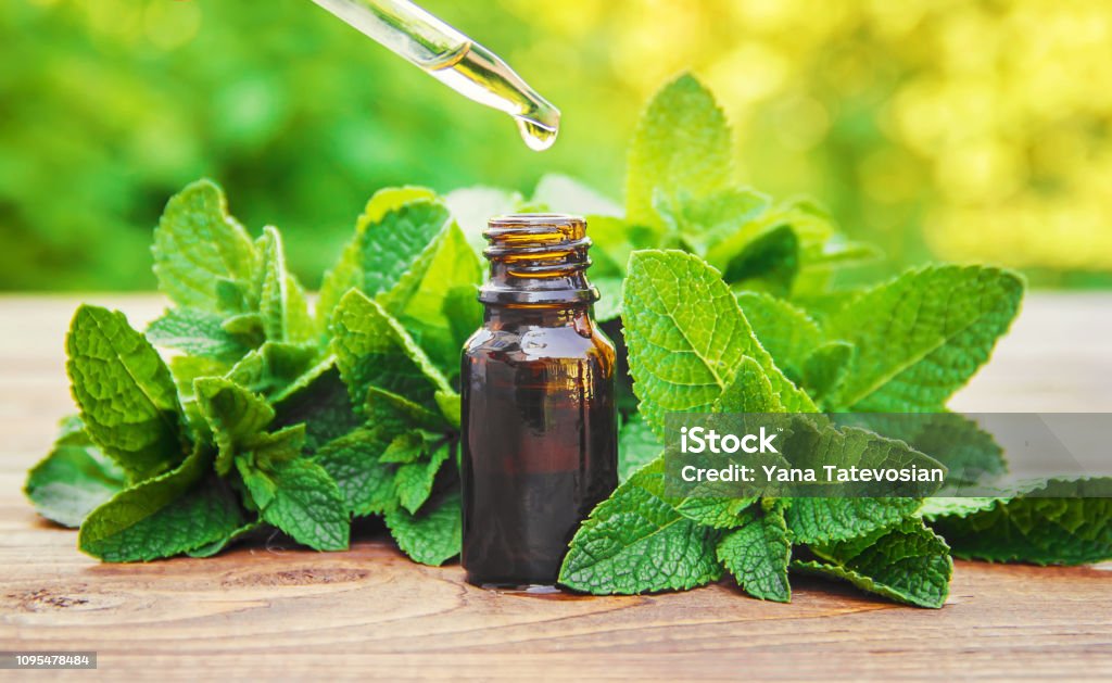 The mint extract in a small jar. Selective focus. Mint Leaf - Culinary Stock Photo