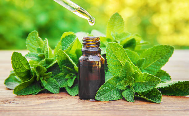 The mint extract in a small jar. Selective focus. The mint extract in a small jar. Selective focus. mint leaf culinary stock pictures, royalty-free photos & images