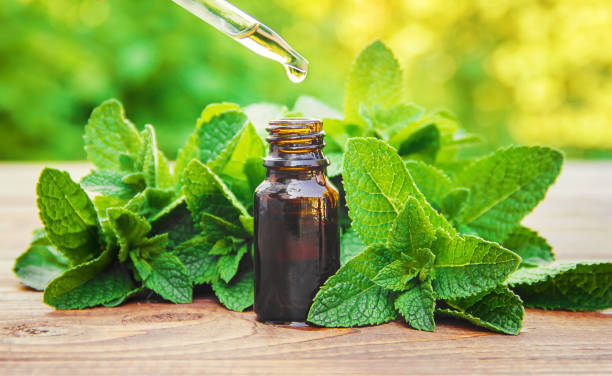 the mint extract in a small jar. selective focus. - peppermint imagens e fotografias de stock