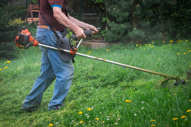 istock Gardener mowing grass by brushcutter in garden. 1095498418