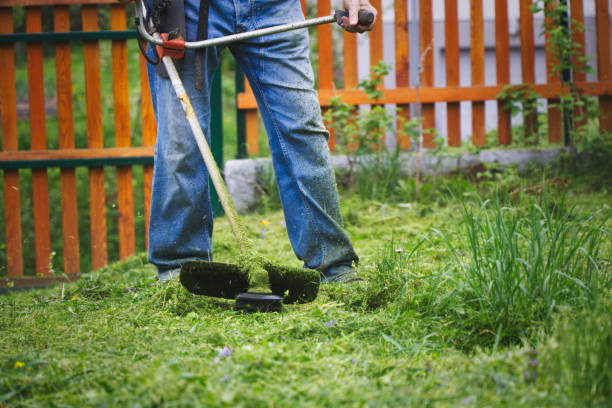 istock Gardener mowing grass by brushcutter in garden. 1095502170