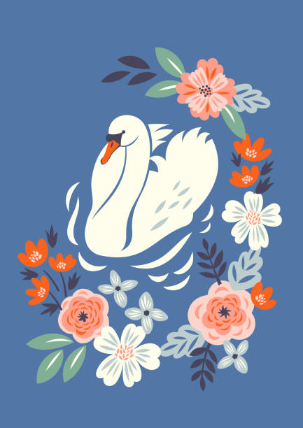 Vector illustration with white swan swimming in the lake with the frame of abstract flowers  in vintage style for postcard