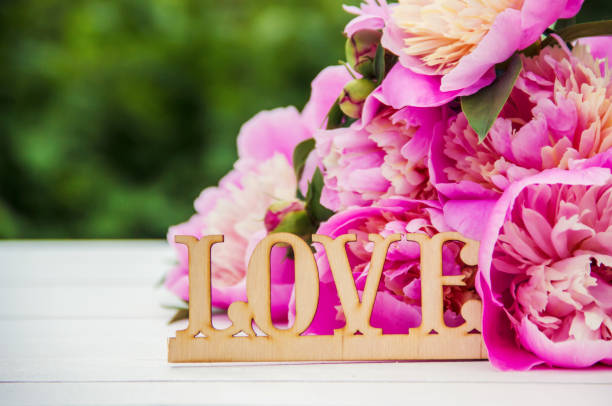istock flowers peonies on a white background. selective focus. 1095504110