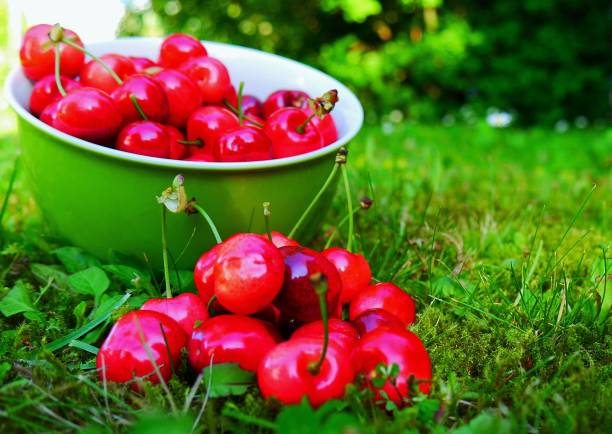 Cherries in a bowl
