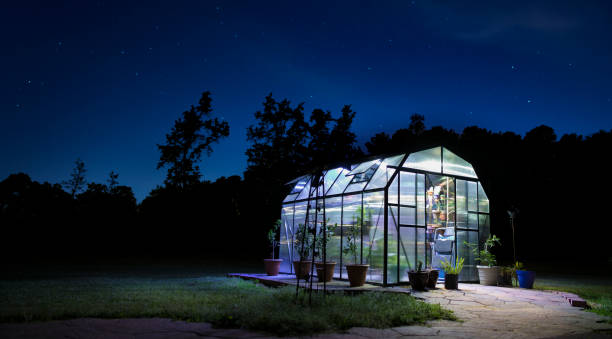 istock Lighted greenhouse with the stars out 1095512978