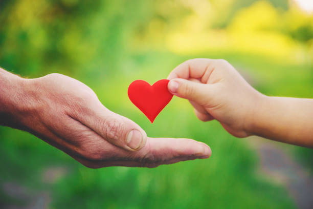 istock child and father have a heart in their hands. Selective focus. 1095515086