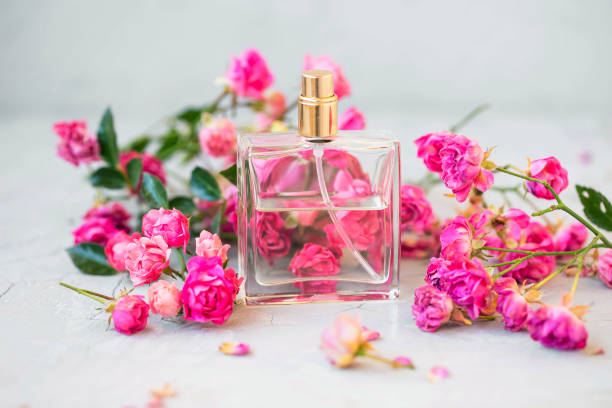 Floral Roses Perfume Bottle Beauty Flowers Fragrance For Women Stock Photo  - Download Image Now - iStock