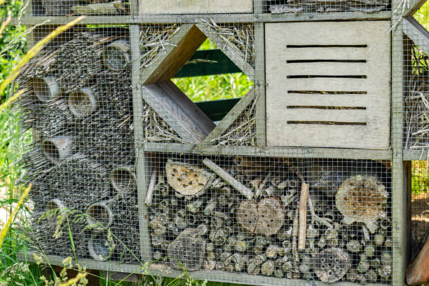 istock Wooden house design for insects. 1095535774