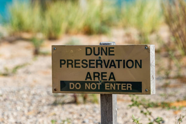 istock Dune Preservation Area Sign 1095535968