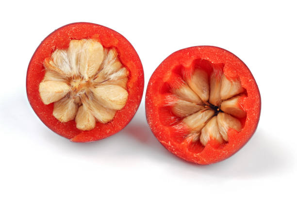 Rosehip (dog rose fruit) cut in half, seeds visible, isolated on white background.