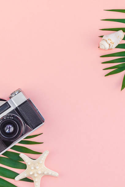 istock Tropical palm leaves vacations pink background 1095537278