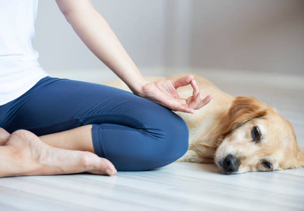 istock Woman and dog doing yoga 1095538010