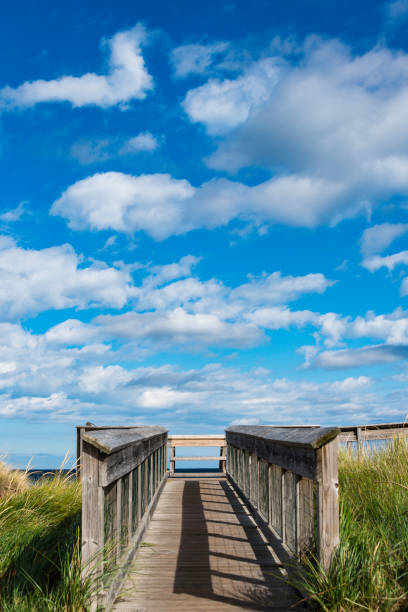 margem de lago michigan na península de leelanau - leelanau peninsula - fotografias e filmes do acervo