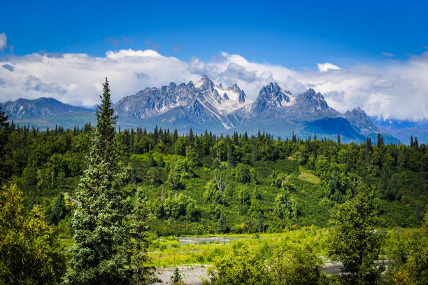 Alaskan Landscape Rugged mountain peaks rise over the green river valleys of Denali National Park denali mountain stock pictures, royalty-free photos & images