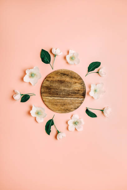 istock Creative layout of white flowers and plants with copy space On a light coral background. 1095553032