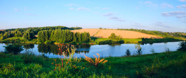 istock Sunny panorama with river flowing between the golden wheat fields and green meadows. 1095557522